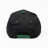 Jrip Island Snapback Hat (BLACK/GREEN SUEDE)