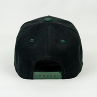 Ambition Club Snapback Hat (BLACK/GREEN SUEDE)