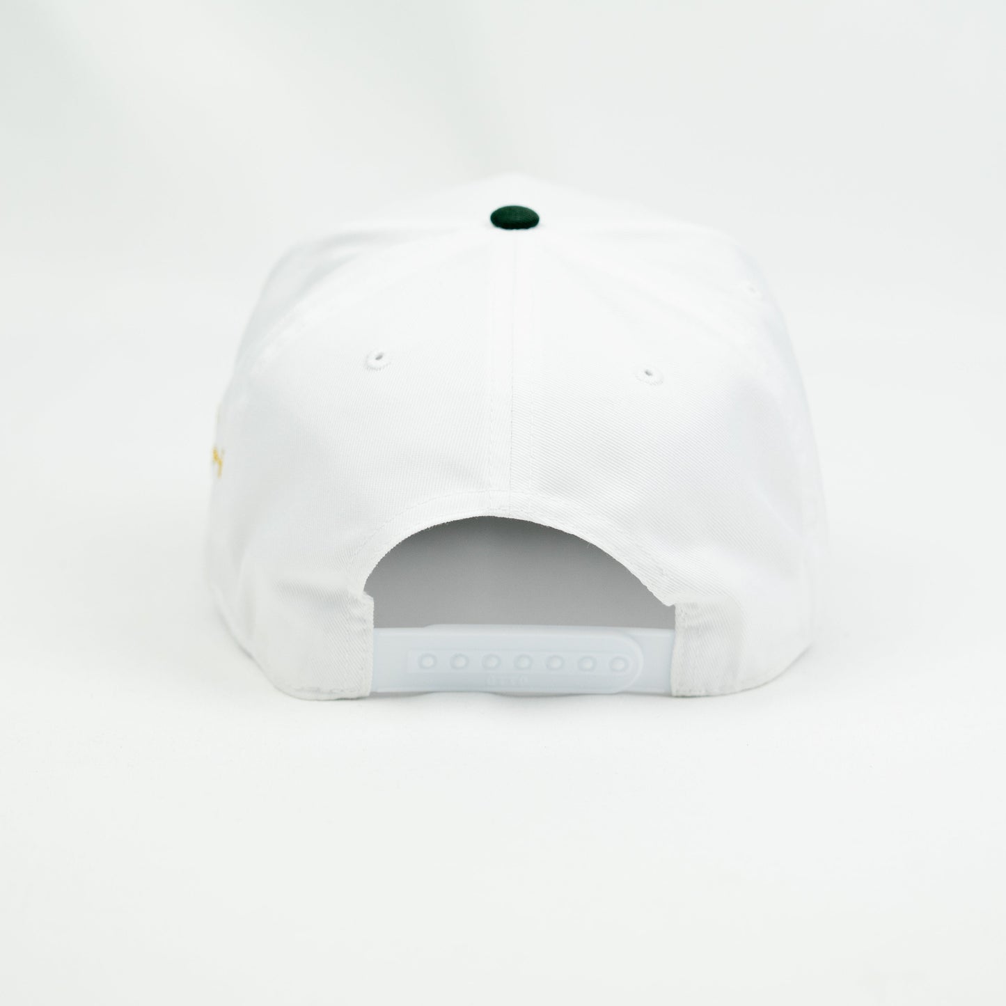 Bet On Myself V2 Snapback Hat (WHITE/GREEN)