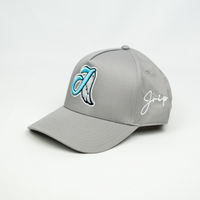 J-Wing Snapback Hat (GREY)