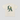 LA Halo Tee (CREAM/GREEN)